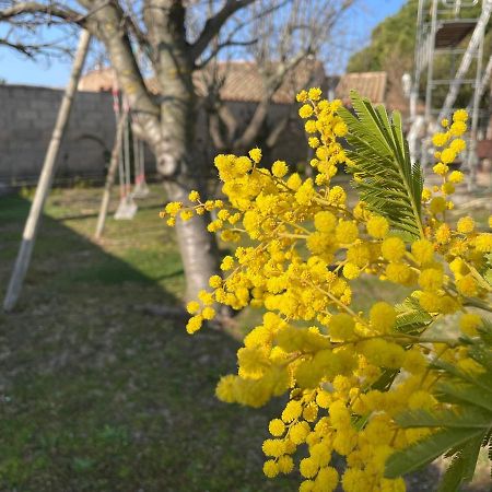 Gite Marydidou Entressen ภายนอก รูปภาพ